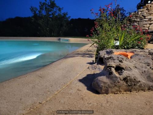 a pool of water with a rock and flowers at VIP REFUGE in Cazillac