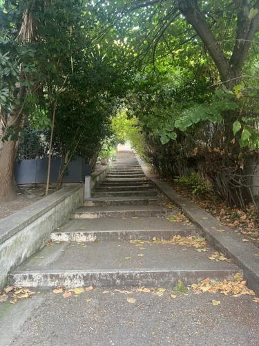 Градина пред The Stairway to Vatican