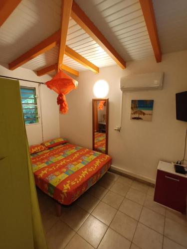 1 dormitorio con 1 cama en una habitación en Passion Caraïbes, en Saint-Claude