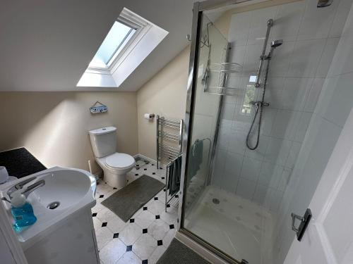 ein Bad mit einer Dusche, einem WC und einem Waschbecken in der Unterkunft Holly Hill Apartments in Southampton