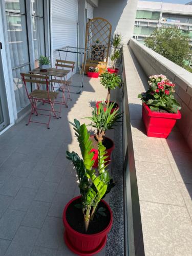 uma varanda com vasos de plantas e uma mesa e cadeiras em B&B Mary&Giuly em San Donato Milanese