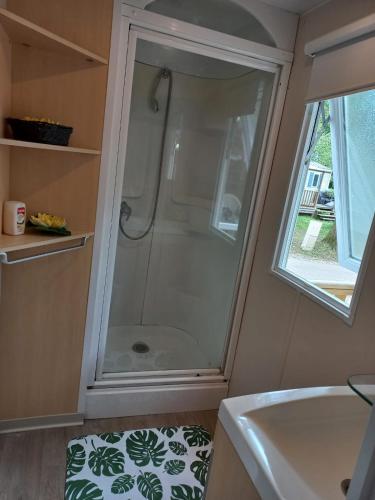 La petite salle de bains est pourvue d'une douche et d'un lavabo. dans l'établissement Mobil-House 2 chambres Saint-Chéron, à Saint-Chéron