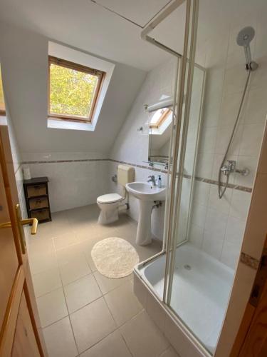 a bathroom with a shower and a toilet and a sink at Varga Apartman in Balatonberény