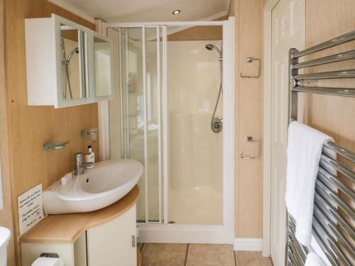 a bathroom with a sink and a shower at Daisy in Leominster