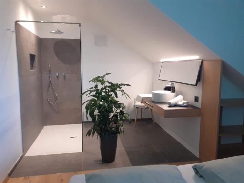 a bathroom with a shower and a desk and a plant at san Antonia B&B Neu Eröffnung Sommer 2024 in Caldaro