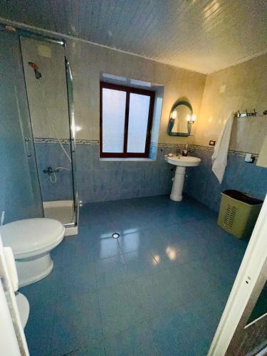a bathroom with a toilet and a shower and a sink at Nena’s Dashe House in Berat
