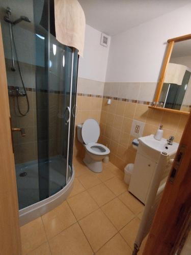 a bathroom with a shower and a toilet and a sink at U Cvečků 