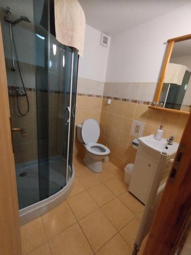 Bathroom sa U Cvečků