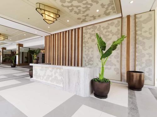 马尼拉Casa Concha的酒店大堂的盆栽植物