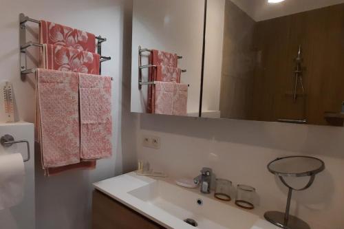 La salle de bains est pourvue d'un lavabo et d'un miroir. dans l'établissement BnB Waterzicht, à Wijnegem