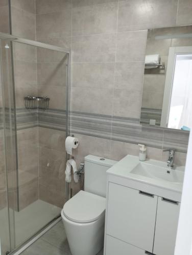 a bathroom with a toilet and a shower and a sink at APARTAMENTOS TRES SOLES in Écija