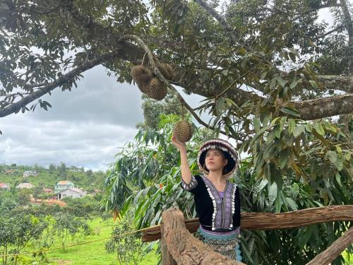 uma jovem ao lado de uma árvore com um ananás em Mộc Hương farmstay 