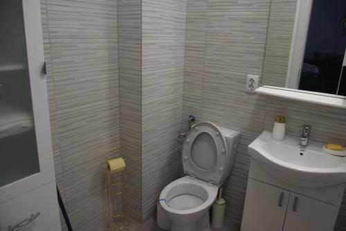 a small bathroom with a toilet and a sink at Real Resort-Apartament cu 2 camere in cartier rezidential in Ploieşti