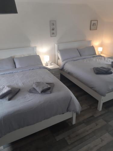 Duas camas sentadas uma ao lado da outra num quarto em Clare's Cottage em Miltown Malbay