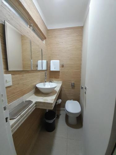 a bathroom with a sink and a toilet at Pousada Bem te vi in Bragança Paulista
