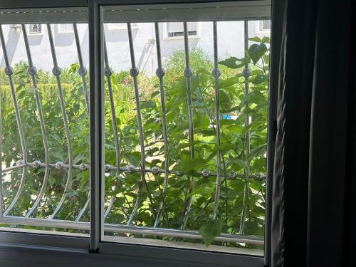a window with a view of a garden outside at Mirage Appart Tangier in Tangier
