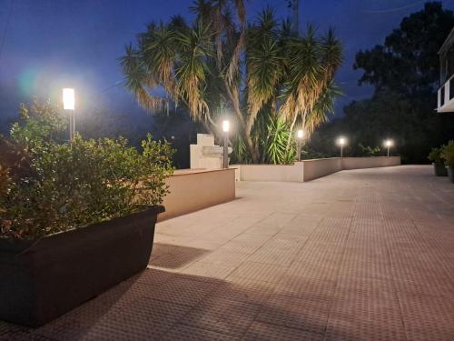 a walkway with palm trees and street lights at night at Villa Gatto in Rometta Marea