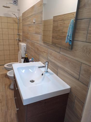 a bathroom with a white sink and a toilet at Villa Gatto Camilla in Rometta Marea