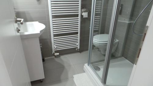 a bathroom with a toilet and a shower and a sink at Hostel Levicki in Slavonski Brod