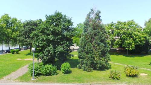 a park with two large trees in the grass at Hostel Levicki in Slavonski Brod