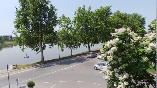 a street with trees and cars parked next to a river at Hostel Levicki in Slavonski Brod