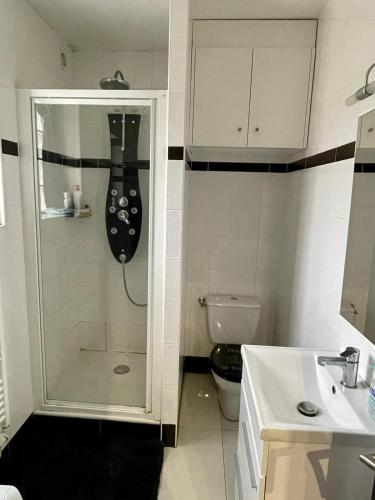 une salle de bain avec une douche, un lavabo et des toilettes dans l'établissement Ambre&Tiago, à Vaires-sur-Marne