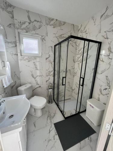 uma casa de banho com um chuveiro, um WC e um lavatório. em Knežević apartman 