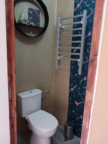 a bathroom with a toilet and a mirror at Cherry Blossom House in Bujaleuf