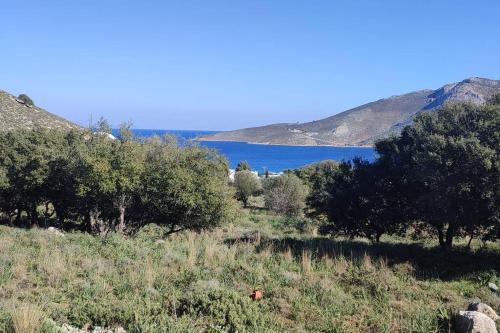 a field with trees and a lake in the background at Tilos Pearl in Livadia