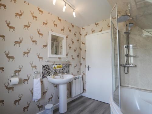 a bathroom with a sink and deer wallpaper at Beachview in Oldshoremore