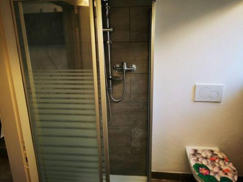 a shower with a glass door in a bathroom at Joli appartement au cœur du village in Orsières