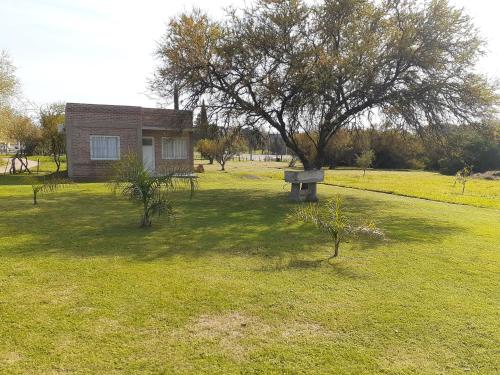 a tree in the middle of a field with a house at La casita del campo in Colón