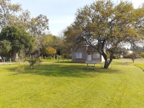 ein kleines Haus inmitten eines Feldes mit einem Baum in der Unterkunft La casita del campo in Colón