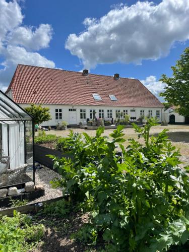 a large white building with a red roof at Landligt ophold på Midtgård in Vamdrup