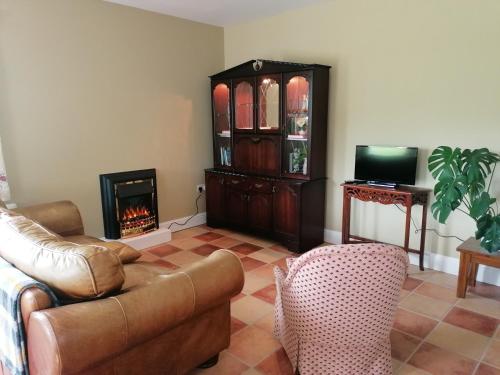 a living room with a couch and a fireplace at Radharc Na Greine in Cork