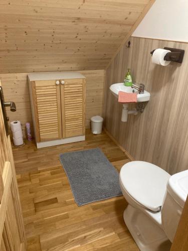 a bathroom with a toilet and a sink at Chalupa Nella in Velké Karlovice