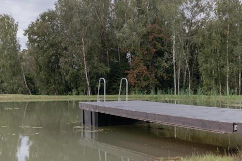a dock in the middle of a body of water at Viesu nams “Kalna Raskumi” in Vecpiebalga