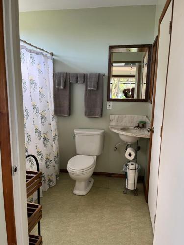 a bathroom with a toilet and a sink and a mirror at Waipio Studio Apartment in Kukuihaele