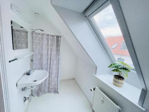La salle de bains est pourvue d'un lavabo et d'une fenêtre. dans l'établissement aday - Great 1 bedroom central apartment, à Hjørring