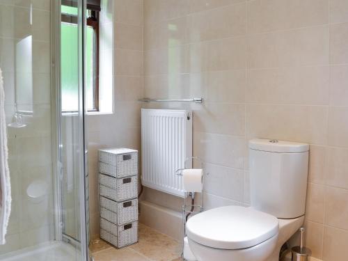 a bathroom with a toilet and a glass shower at Llwyn Onn in Newchurch