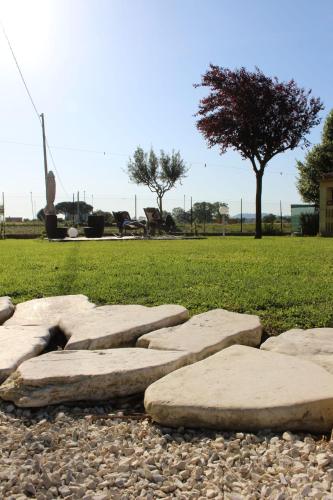 a row of rocks on a field with a tree at CaSAle in Castelfidardo