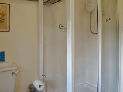 a bathroom with a shower with a toilet and a sink at The Cart Lodge in Hooe
