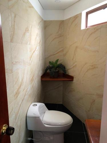 a bathroom with a toilet and a plant on a shelf at La Foguera Sutamarchán in Sutamarchán