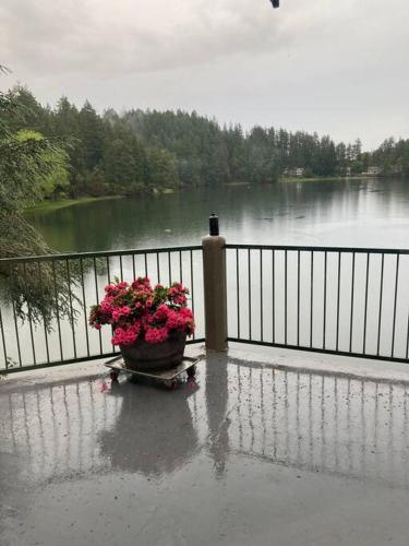 a pot of flowers sitting on a table next to a fence at Hammersley Inlet- Oyster beach, Relaxing Views in Shelton
