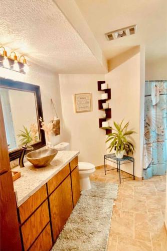 a bathroom with a sink and a toilet and a mirror at Hammersley Inlet- Oyster beach, Relaxing Views in Shelton
