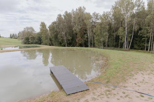 a wooden bench sitting in the middle of a pond at Viesu nams “Kalna Raskumi” in Vecpiebalga
