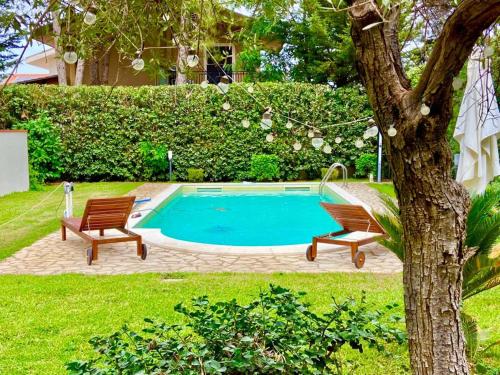 una piscina con 2 sillas y un árbol en Villa Cavagrande, en Avola