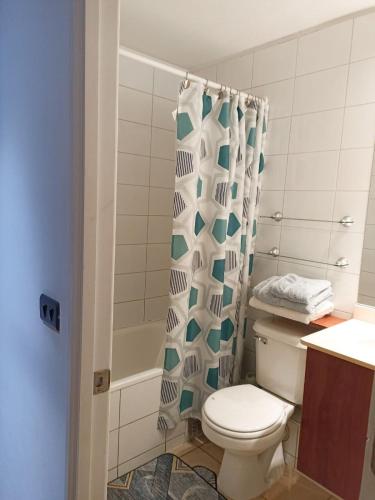 a bathroom with a toilet and a shower curtain at Bellavista Dardignac 28 in Santiago