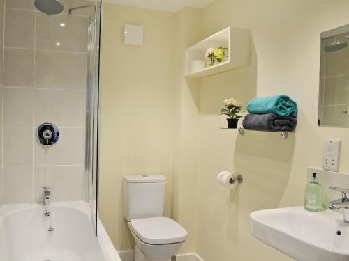 a bathroom with a shower toilet and a sink at Cornbrash Farm Cottage in Dallington