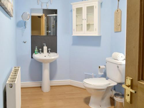 a bathroom with a white toilet and a sink at Buckle House in Gatehouse of Fleet